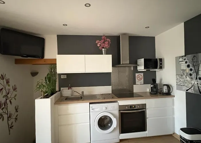 Goeland 1, Classe, Climatise, Wifi Terrasse Ombrage De 12 M2 A 150 M De La Plage