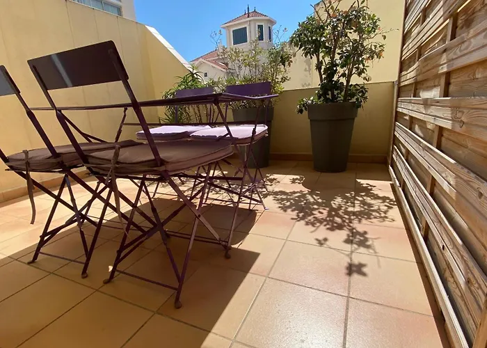 Goeland 1, Classe, Climatise, Wifi Terrasse Ombrage De 12 M2 A 150 M De La Plage